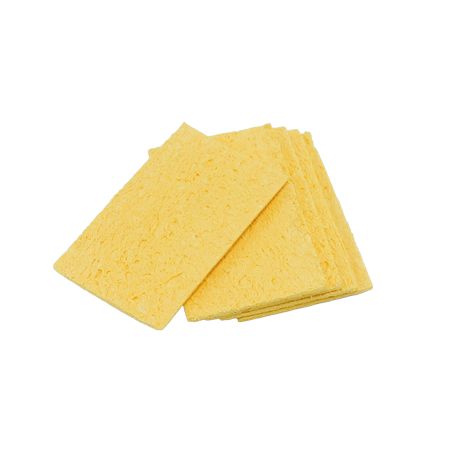 Schwämme