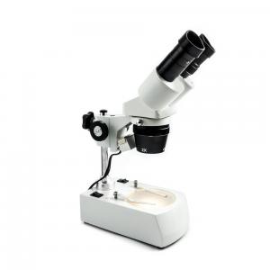 Binokulares Mikroskop